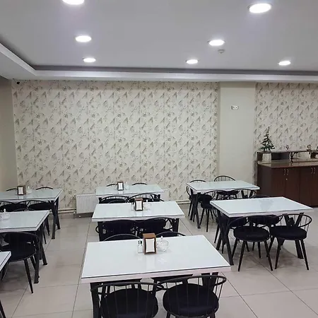 Lotus 酒店 科尼亚